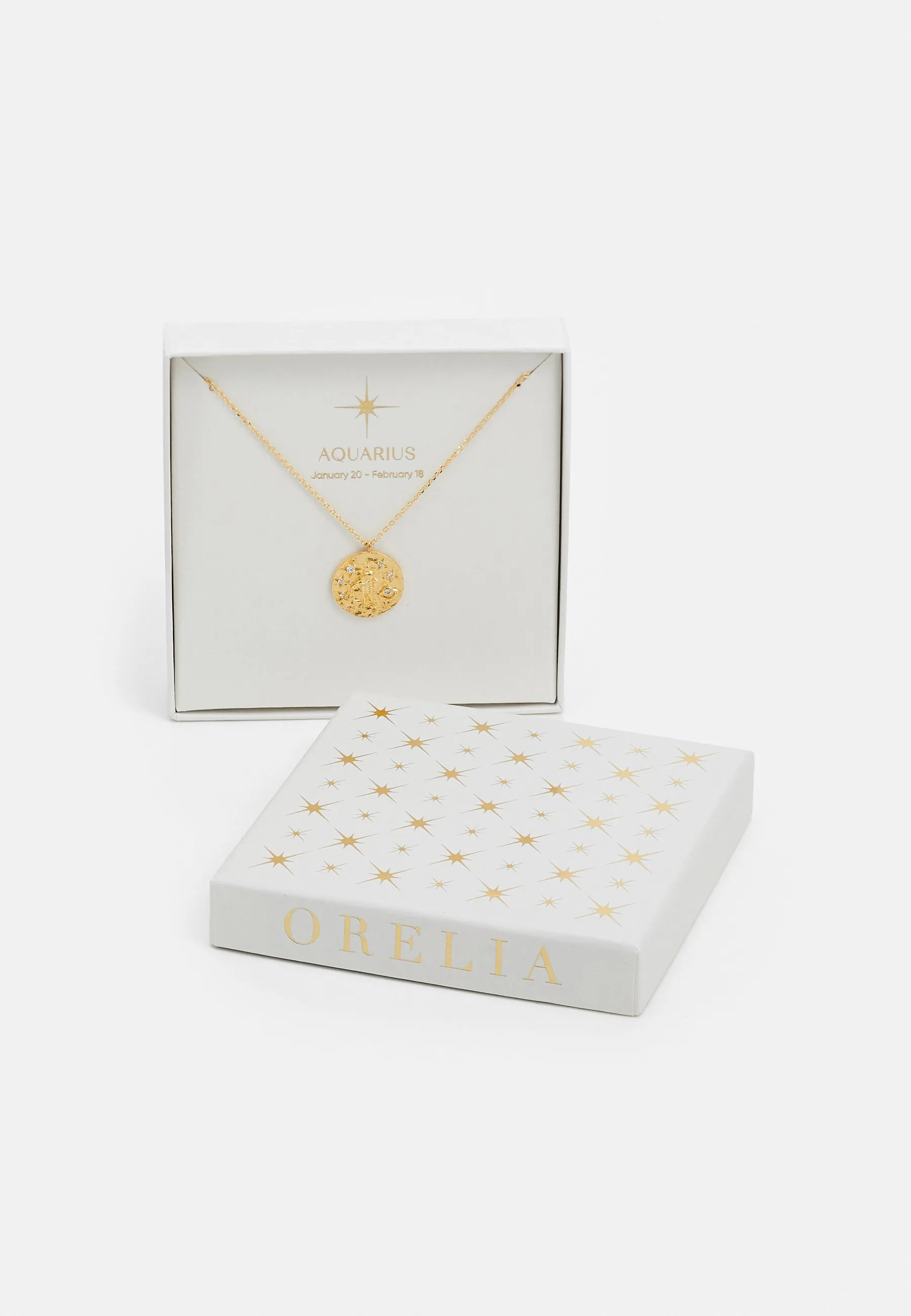 ZODIAC MEDALLION NECKLACE AQUARIUS - Collana