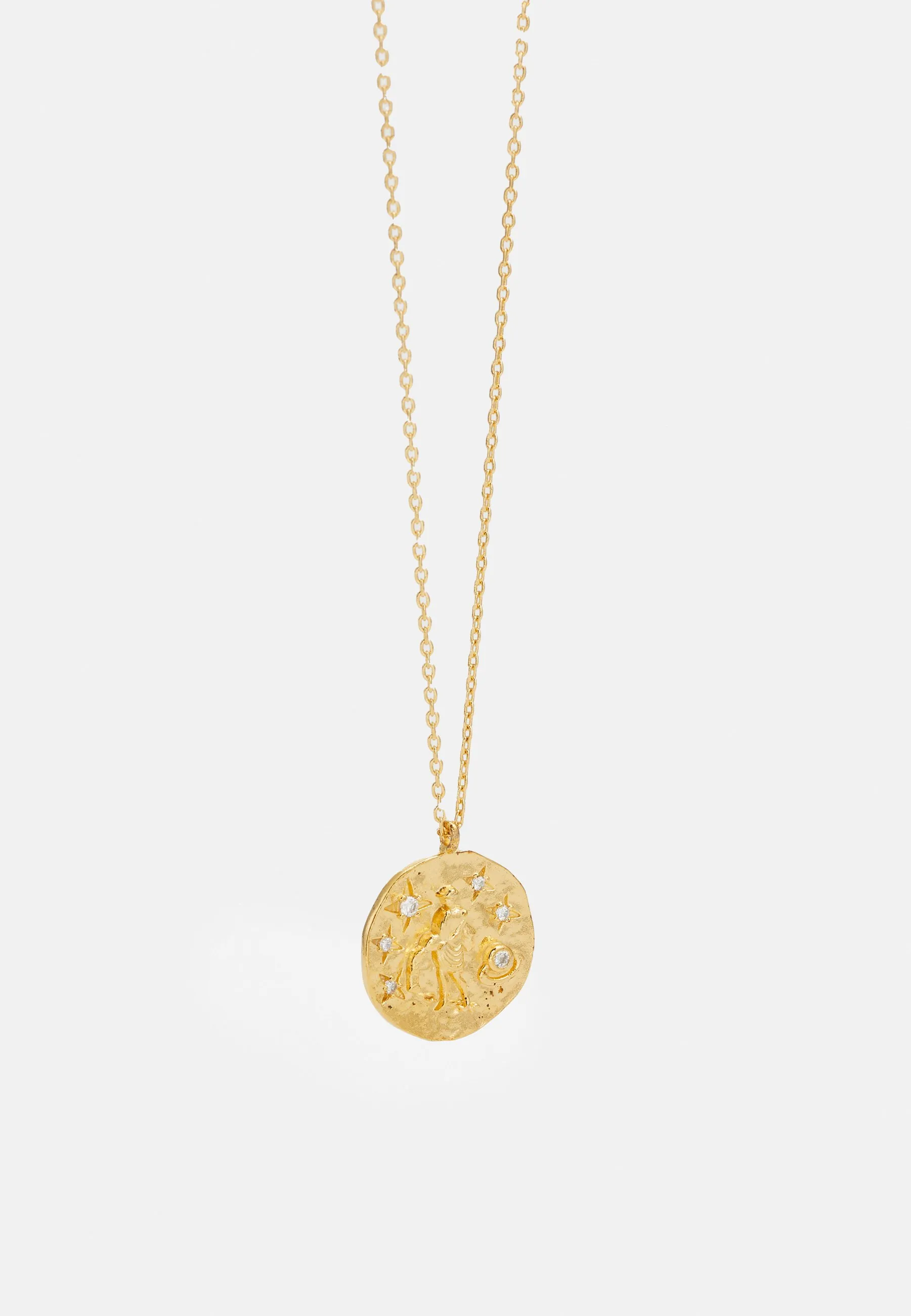 ZODIAC MEDALLION NECKLACE AQUARIUS - Collana